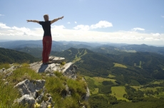 Health and Vitality
