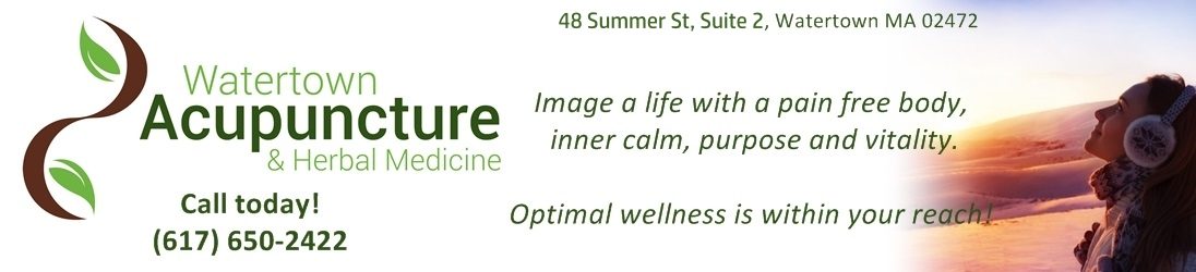 Watertown Acupuncture